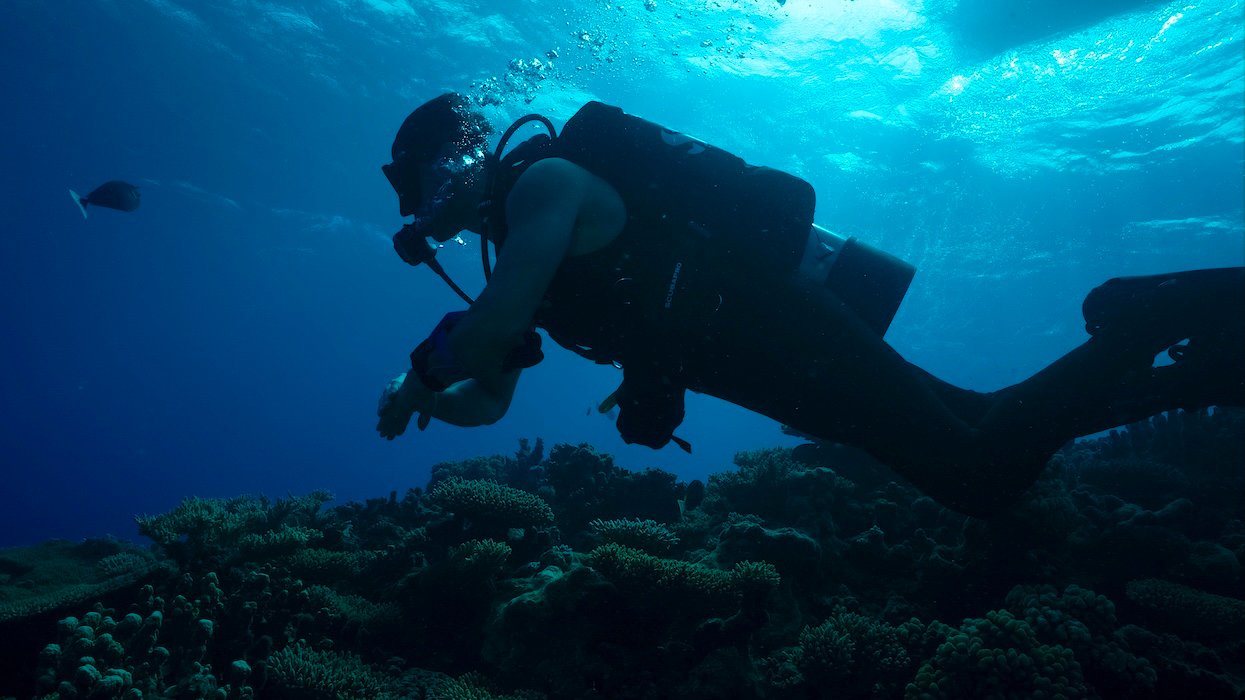 DISCOVERY CHANNEL’S SHARK WEEK RETURNS TO MENA WITH ALL-NEW PREMIERES, EPIC ENCOUNTERS AND JAW-DROPPING OCEAN DISCOVERIES